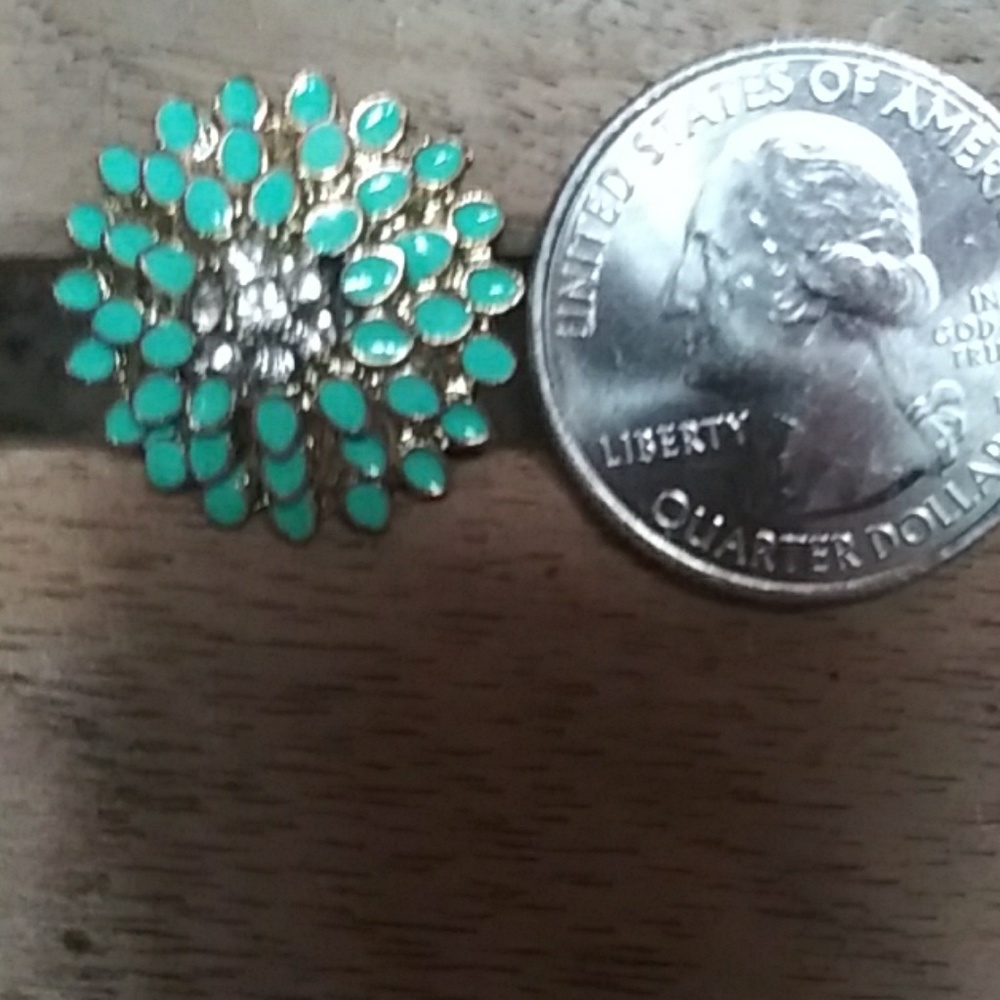 Betsey Johnson Earrings - Picture 3 of 3